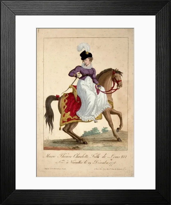 Framed Print : Marie Therese of France (1778-1851) Framed Print : Marie Therese of France (1778-1851)