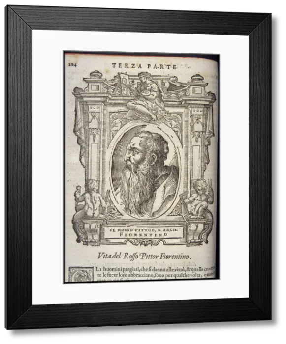 Framed Print : Rosso Fiorentino, ca 1568 Framed Print : Rosso Fiorentino, ca 1568