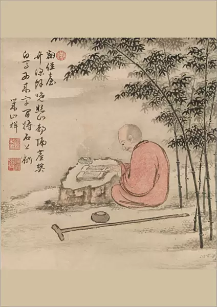 Reading monk in a bamboo forest