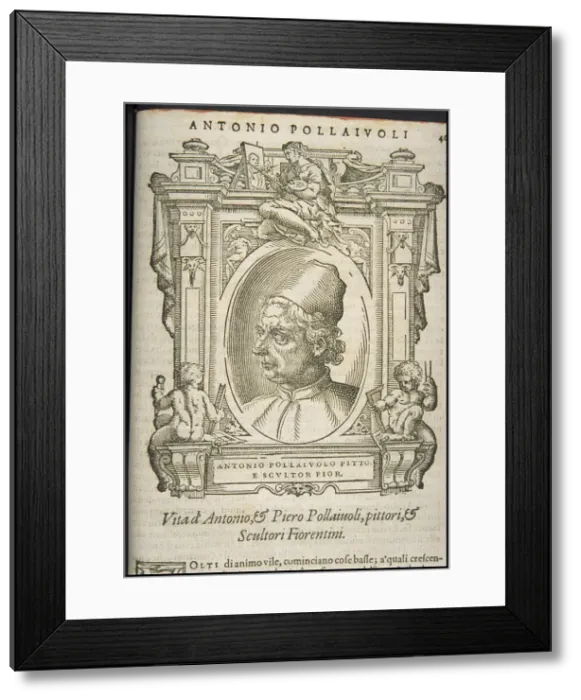 Framed Print : Antonio Pollaiuolo, ca 1568 Framed Print : Antonio Pollaiuolo, ca 1568