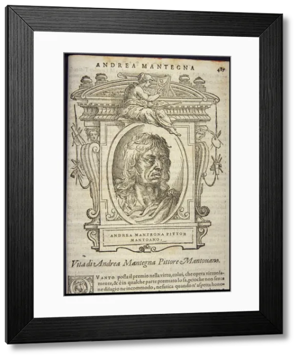 Framed Print : Andrea Mantegna, ca 1568 Framed Print : Andrea Mantegna, ca 1568