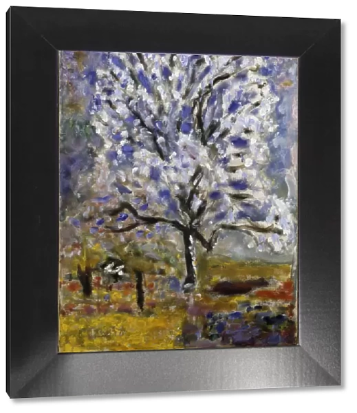 L amandier en fleurs (The Almond Tree in Blossom), 1947