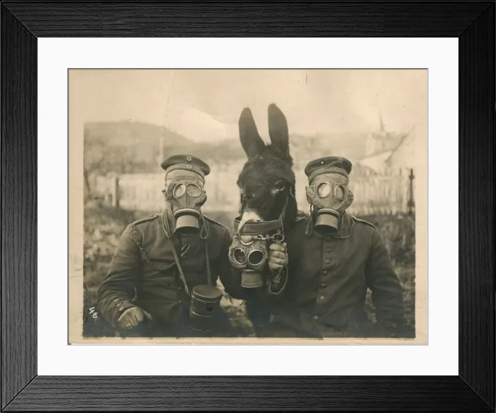 Framed Print : First World War, c. 1915