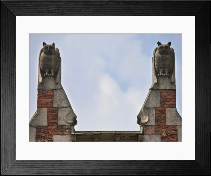 Framed Print : Les Hiboux, 55 Avenue Brugmann, Brussels, Belgium, (1899), c2014-c2017. Artist: Alan John Ainsworth Framed Print : Les Hiboux, 55 Avenue Brugmann, Brussels, Belgium, (1899), c2014-c2017. Artist: Alan John Ainsworth