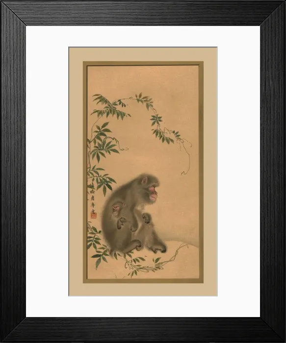 Framed Print : Monkey, 19th century, (1886) Framed Print : Monkey, 19th century, (1886)
