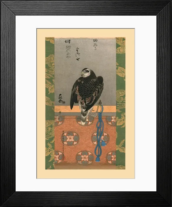 Framed Print : Falcon, c1790, (1886). Artist: Wilhelm Greve Framed Print : Falcon, c1790, (1886). Artist: Wilhelm Greve