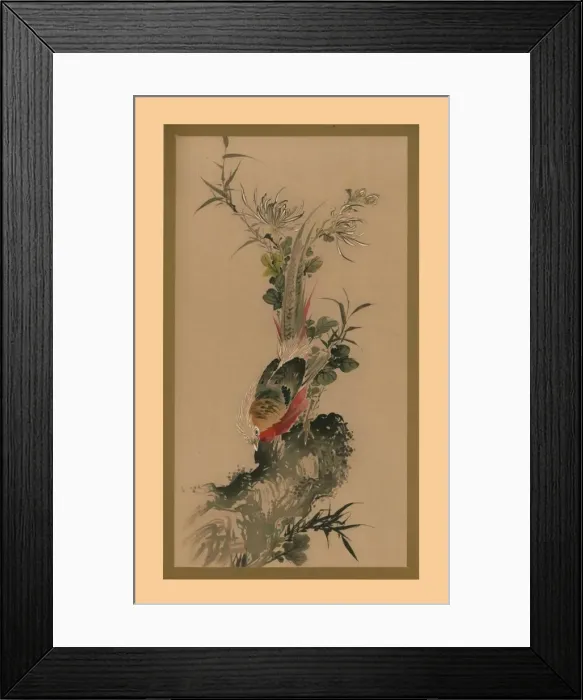 Framed Print : Pheasant, 1832, (1886). Artist: Witherby & Co Framed Print : Pheasant, 1832, (1886). Artist: Witherby & Co