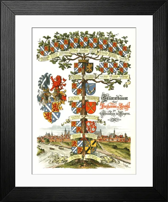 Framed Print : Strohl Heraldic Tree. Artist: H Strohl Framed Print : Strohl Heraldic Tree. Artist: H Strohl