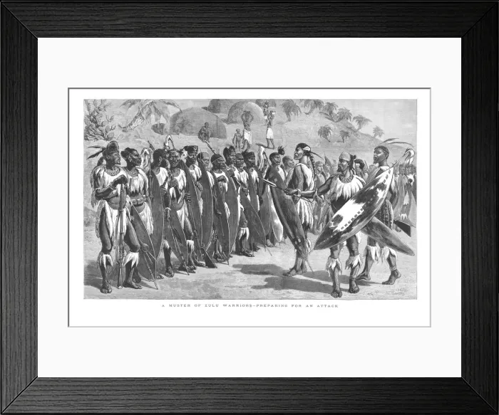 Framed Print : A Muster of Zulu Warriors - Preparing for an Attack. 1879 Framed Print : A Muster of Zulu Warriors - Preparing for an Attack. 1879