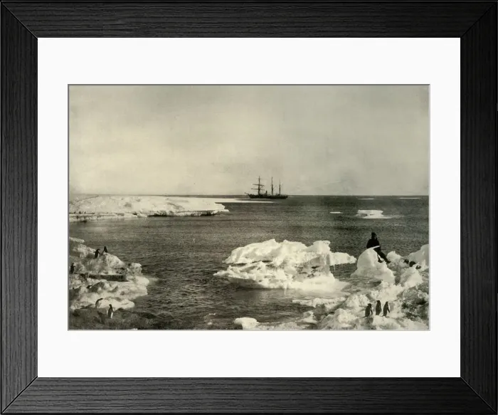 Framed Print : The Nimrod Lying Off The Penguin Rookery, c1908, (1909) Framed Print : The Nimrod Lying Off The Penguin Rookery, c1908, (1909)