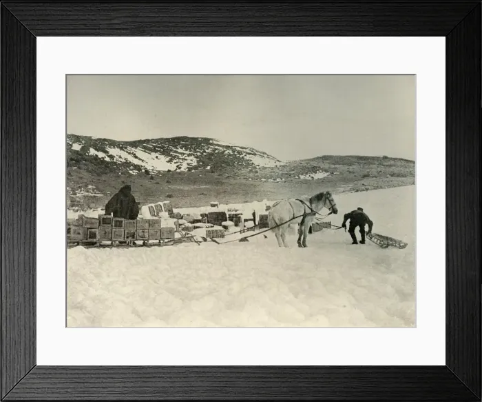 Framed Print : The Pont Quan About To Draw A Sledge Load of Stores, c1908, (1909) Framed Print : The Pont Quan About To Draw A Sledge Load of Stores, c1908, (1909)