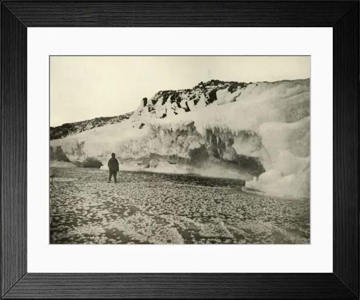 Framed Print : Ice Flowers on Newly Formed Sea Ice Early in the Winter, c1908, (1909) Framed Print : Ice Flowers on Newly Formed Sea Ice Early in the Winter, c1908, (1909)