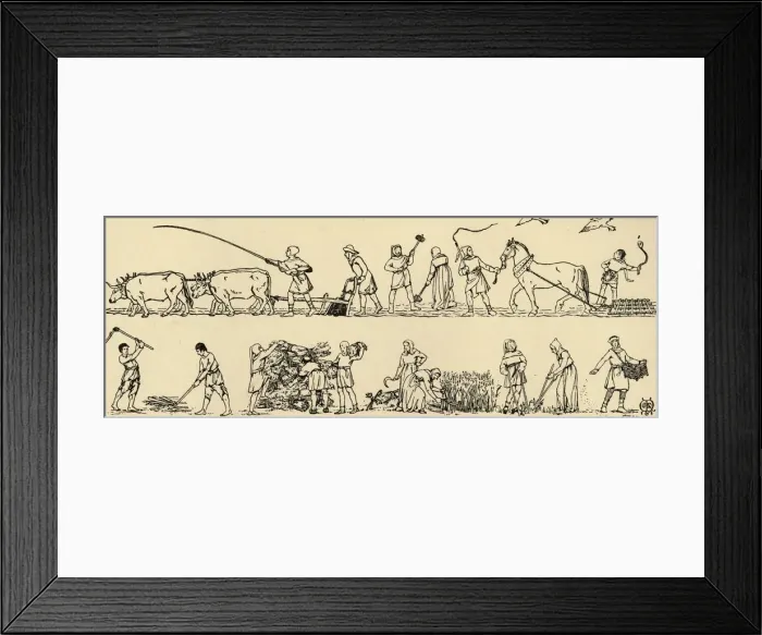 Framed Print : Agriculture in the time of Edward III (From the Luttrell Psalter), (1931). Artist Framed Print : Agriculture in the time of Edward III (From the Luttrell Psalter), (1931). Artist