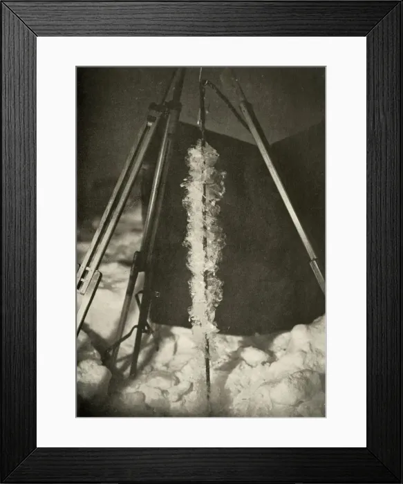 Framed Print : Ice Crystals Formed on the Line of a Fish Trap, c1908, (1909) Framed Print : Ice Crystals Formed on the Line of a Fish Trap, c1908, (1909)
