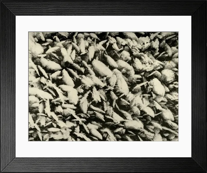 Framed Print : Ice Crystals on roof of the Hut Porch, c1908, (1909) Framed Print : Ice Crystals on roof of the Hut Porch, c1908, (1909)