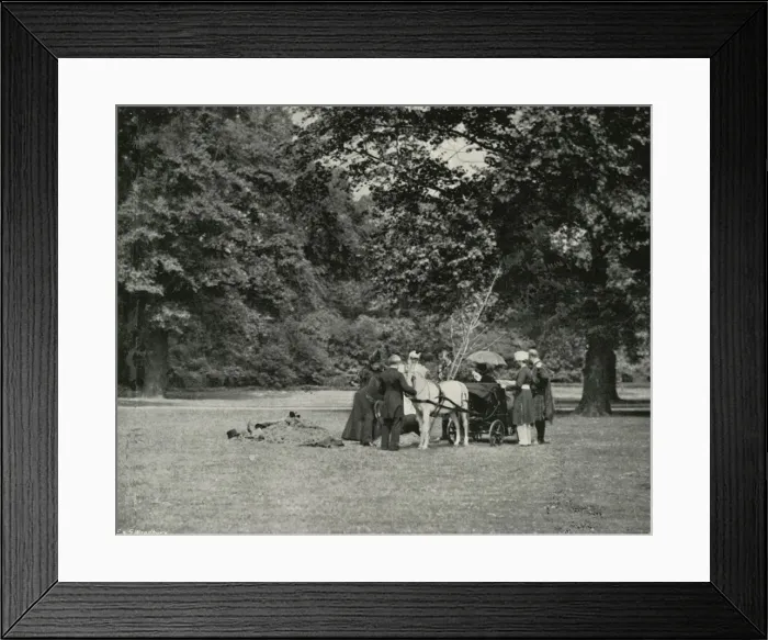 Framed Print : Her Majesty Planting a Tree in the Grounds of Buckingham Palace as a Memorial of the Jubilee Framed Print : Her Majesty Planting a Tree in the Grounds of Buckingham Palace as a Memorial of the Jubilee