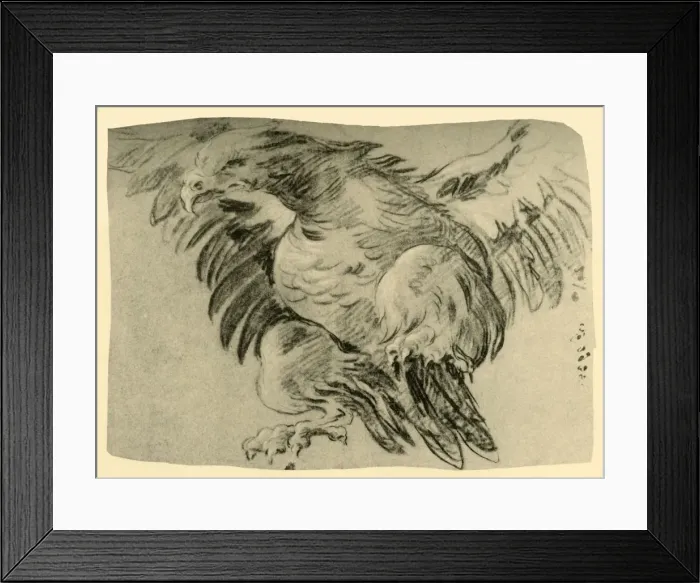 Framed Print : Eagle, 1751-1752, (1928). Artist: Giovanni Battista Tiepolo Framed Print : Eagle, 1751-1752, (1928). Artist: Giovanni Battista Tiepolo