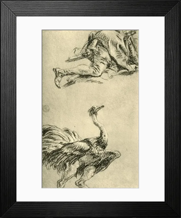 Framed Print : A running Ostrich, 1752-1753, (1928). Artist: Giovanni Battista Tiepolo Framed Print : A running Ostrich, 1752-1753, (1928). Artist: Giovanni Battista Tiepolo