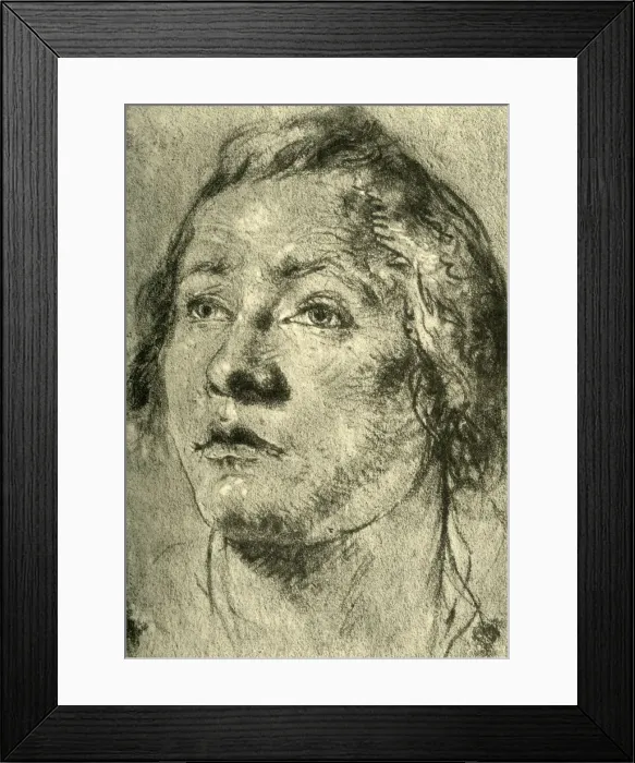 Framed Print : Head of a Young Man, mid 18th century, (1928). Artist: Giovanni Battista Tiepolo Framed Print : Head of a Young Man, mid 18th century, (1928). Artist: Giovanni Battista Tiepolo