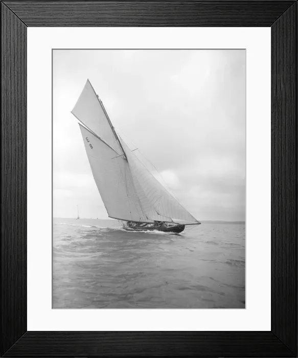 Framed Print : The 12 Metre sailing yacht Rollo racing upwind, 1911. Creator: Kirk & Sons of Cowes Framed Print : The 12 Metre sailing yacht Rollo racing upwind, 1911. Creator: Kirk & Sons of Cowes