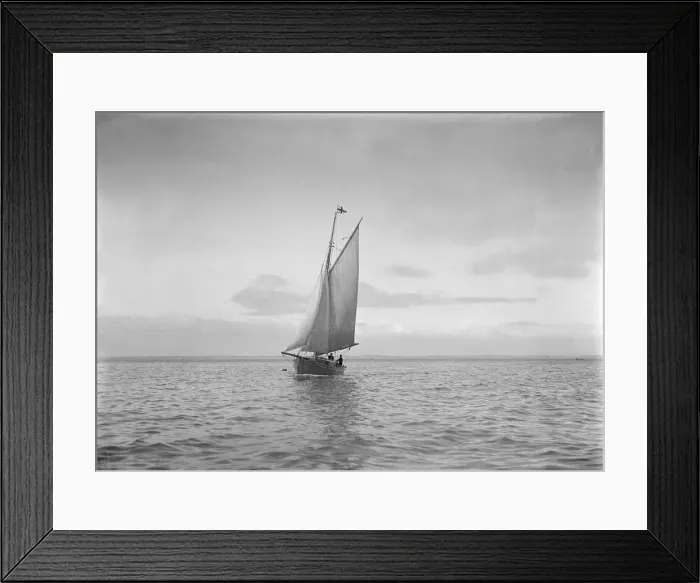 Framed Print : The cutter Sophie sailing. Creator: Kirk & Sons of Cowes Framed Print : The cutter Sophie sailing. Creator: Kirk & Sons of Cowes
