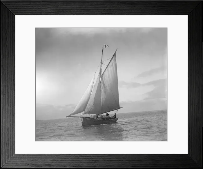 Framed Print : The cutter Sophie sailing upwind. Creator: Kirk & Sons of Cowes Framed Print : The cutter Sophie sailing upwind. Creator: Kirk & Sons of Cowes