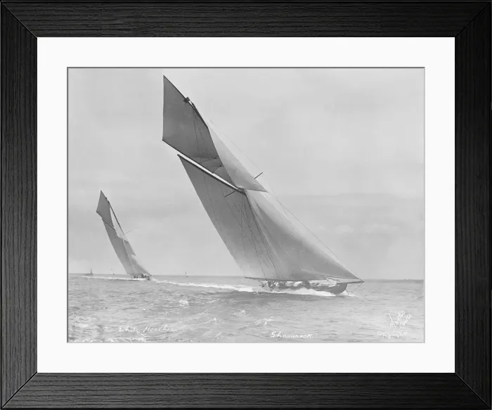 Framed Print : Shamrock and White Heather powering to windward, 1912. Creator: Kirk & Sons of Cowes Framed Print : Shamrock and White Heather powering to windward, 1912. Creator: Kirk & Sons of Cowes