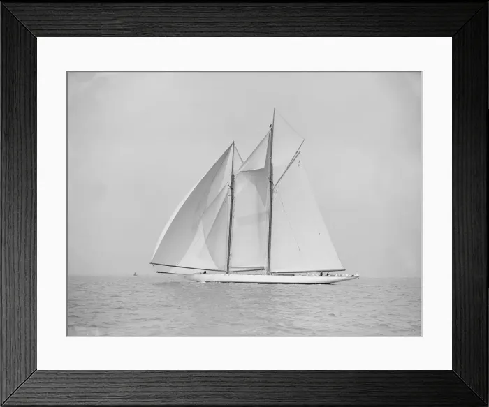 Framed Print : The 380 ton A Class schooner Margherita sailing under spinnaker, 1913. Creator Framed Print : The 380 ton A Class schooner Margherita sailing under spinnaker, 1913. Creator
