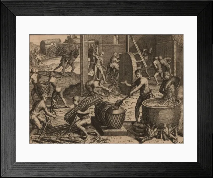Framed Print : Slaves process sugar cane and make sugar. Creator: Aa, Pieter van der (1659-1733) Framed Print : Slaves process sugar cane and make sugar. Creator: Aa, Pieter van der (1659-1733)