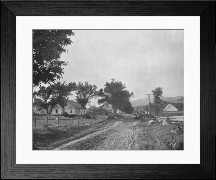 Framed Print : On the road to Echo Lake, White Mountains, New Hampshire, USA, c1900. Creator: Unknown