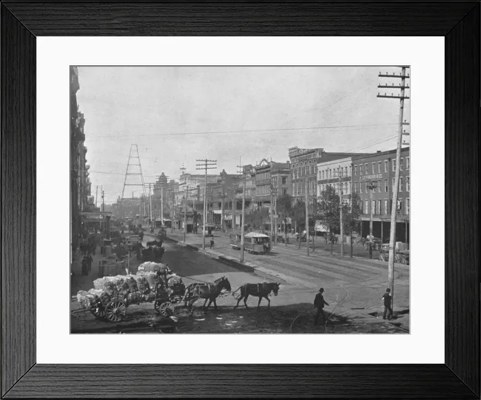 Framed Print : Canal Street, New Orleans, Louisiana, USA, c1900. Creator: Unknown Framed Print : Canal Street, New Orleans, Louisiana, USA, c1900. Creator: Unknown