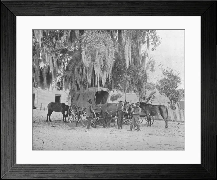 Framed Print : A Merchant from San Antonio, Texas, USA, c1900. Creator: Unknown Framed Print : A Merchant from San Antonio, Texas, USA, c1900. Creator: Unknown