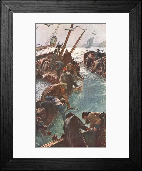 Framed Print : How We Caught the Pilchards, 1895, (c1902). Creator: Unknown Framed Print : How We Caught the Pilchards, 1895, (c1902). Creator: Unknown