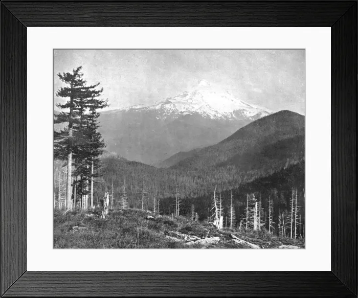 Framed Print : Mount Hood, Oregon, USA, c1900. Creator: Unknown Framed Print : Mount Hood, Oregon, USA, c1900. Creator: Unknown
