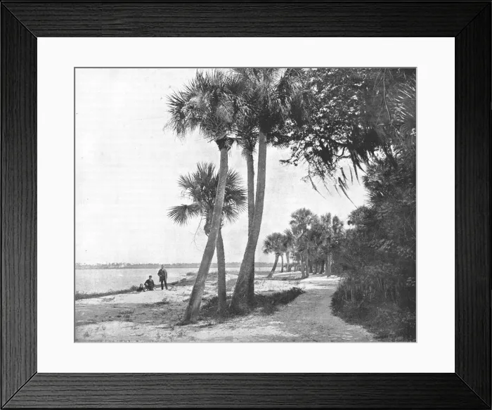 Framed Print : Indian River, Florida, USA, c1900. Creator: Unknown Framed Print : Indian River, Florida, USA, c1900. Creator: Unknown