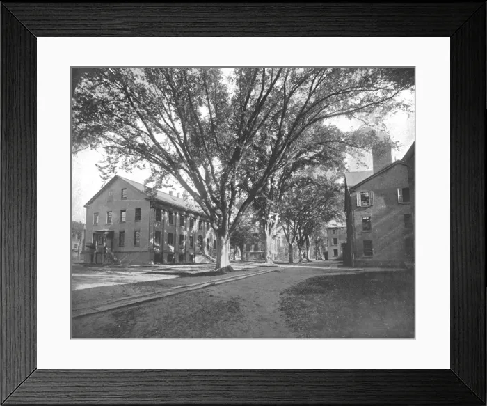 Framed Print : The Reading Hall and Treasury, Yale College, New Haven, Connecticut, USA, c1900. Creator: Unknown Framed Print : The Reading Hall and Treasury, Yale College, New Haven, Connecticut, USA, c1900. Creator: Unknown