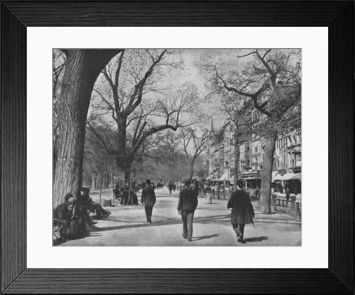 Framed Print : Tremont Street and The Common, Boston, USA, c1900. Creator: Unknown Framed Print : Tremont Street and The Common, Boston, USA, c1900. Creator: Unknown