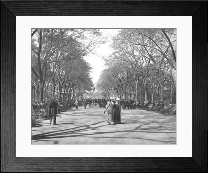 Framed Print : The Mall, Central Park, New York, USA, c1900. Creator: Unknown Framed Print : The Mall, Central Park, New York, USA, c1900. Creator: Unknown