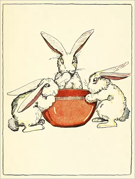 Flopsy, Mopsy, and Cotton-Tail had bread and milk and blackberries for dinner, 1916