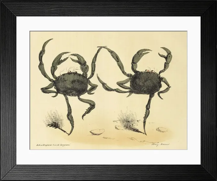 Framed Print : Danse Fantastique from La Caricature, pub. 1831 (lithograph), 1831. Creator: Henry Monnier Framed Print : Danse Fantastique from La Caricature, pub. 1831 (lithograph), 1831. Creator: Henry Monnier
