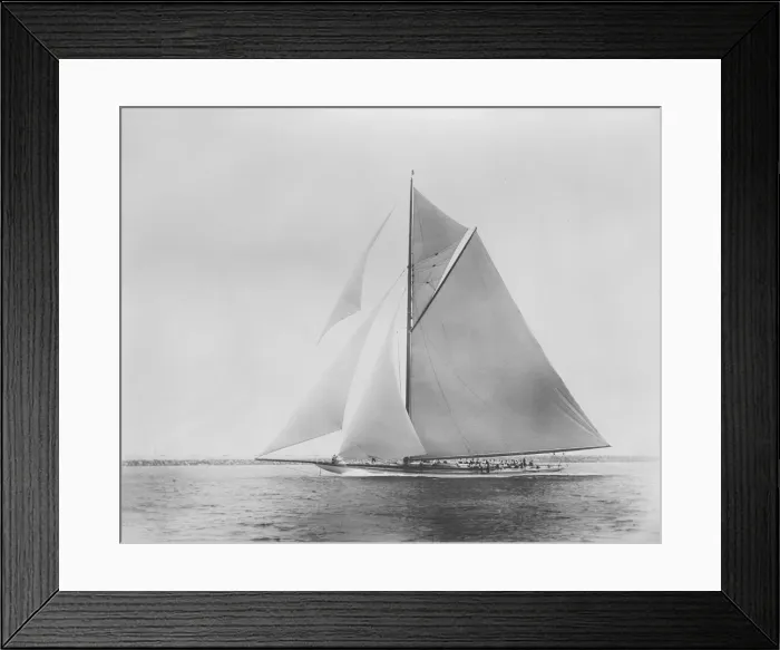 Framed Print : Americas Cup challenger Shamrock III. Creator: Kirk & Sons of Cowes Framed Print : Americas Cup challenger Shamrock III. Creator: Kirk & Sons of Cowes