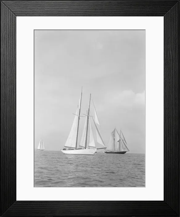 Framed Print : Westward (foreground) and the visiting Canadian schooner Bluenose, 1935. Creator Framed Print : Westward (foreground) and the visiting Canadian schooner Bluenose, 1935. Creator