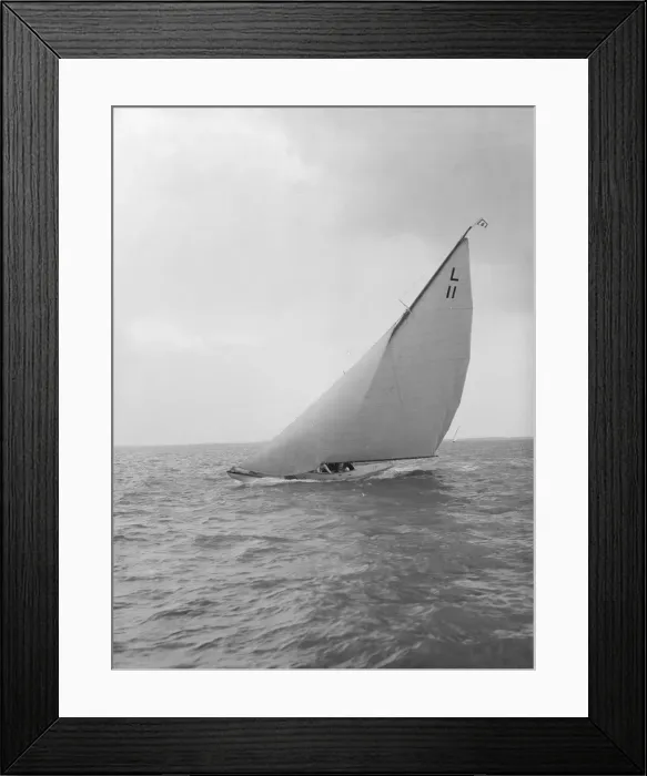 Framed Print : The 6 Metre Womba heeling hard upwind, 1914. Creator: Kirk & Sons of Cowes Framed Print : The 6 Metre Womba heeling hard upwind, 1914. Creator: Kirk & Sons of Cowes