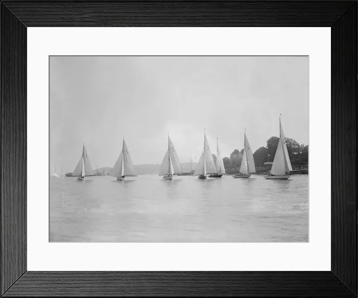 Framed Print : Group of V s: Daisy (6), Mary (3), Judy (4), Rosemary (13), Fay (24) racing Framed Print : Group of V s: Daisy (6), Mary (3), Judy (4), Rosemary (13), Fay (24) racing