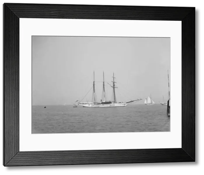 Framed Print : The 3 mast auxiliary schooner Czarina. Creator: Kirk & Sons of Cowes Framed Print : The 3 mast auxiliary schooner Czarina. Creator: Kirk & Sons of Cowes