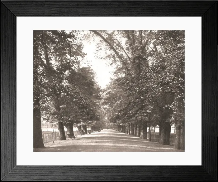 Framed Print : The Broad Walk, Oxford, 1894. Creator: Unknown Framed Print : The Broad Walk, Oxford, 1894. Creator: Unknown
