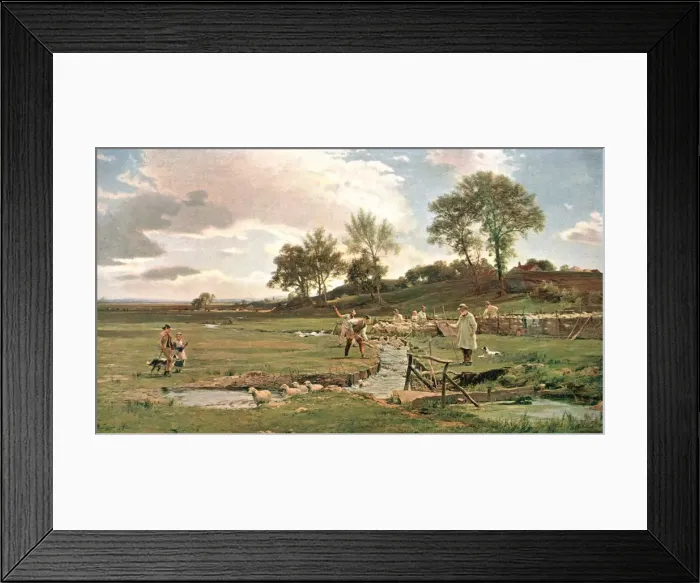 Framed Print : Sheep-Washing in Sussex, c1889, (c1902). Creator: Unknown Framed Print : Sheep-Washing in Sussex, c1889, (c1902). Creator: Unknown