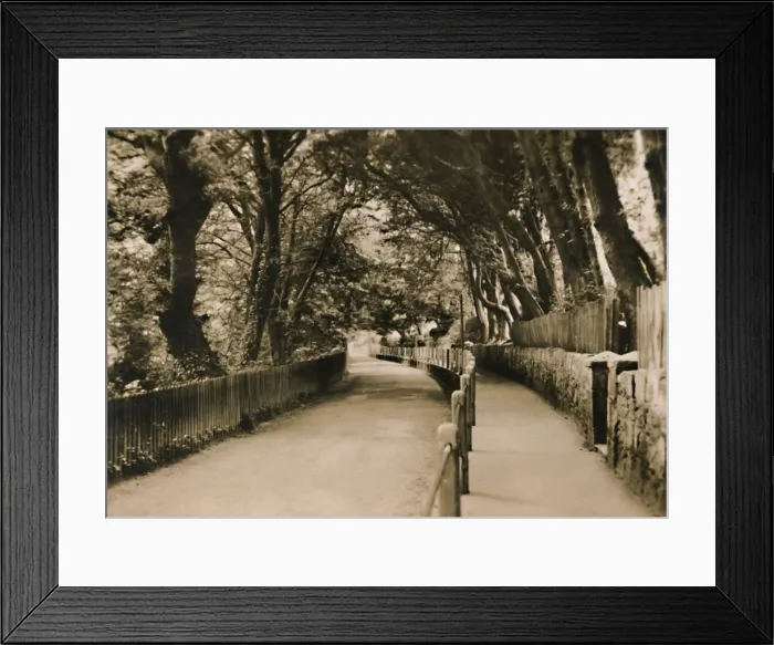 Framed Print : Chine Avenue, Shanklin, I. W. c1920. Creator: Unknown Framed Print : Chine Avenue, Shanklin, I. W. c1920. Creator: Unknown