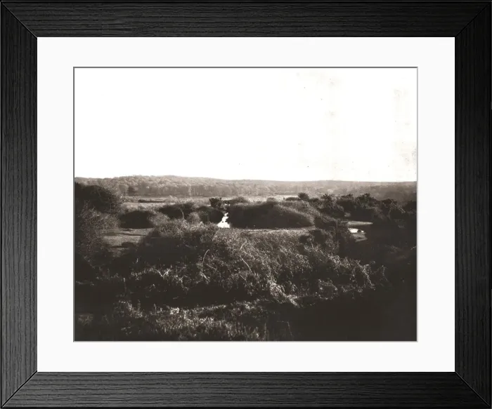 Framed Print : The New Forest, Hampshire, 1894. Creator: Unknown Framed Print : The New Forest, Hampshire, 1894. Creator: Unknown