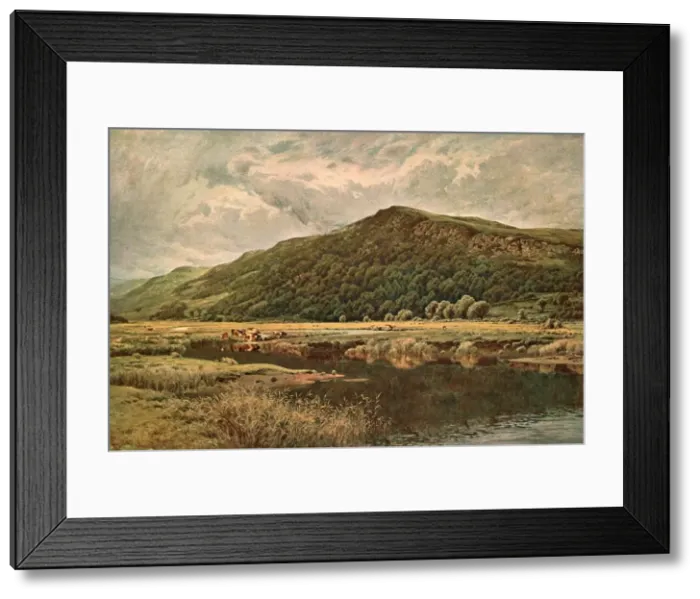 Framed Print : Natures Mirror, 1882, (c1902). Creator: Unknown Framed Print : Natures Mirror, 1882, (c1902). Creator: Unknown